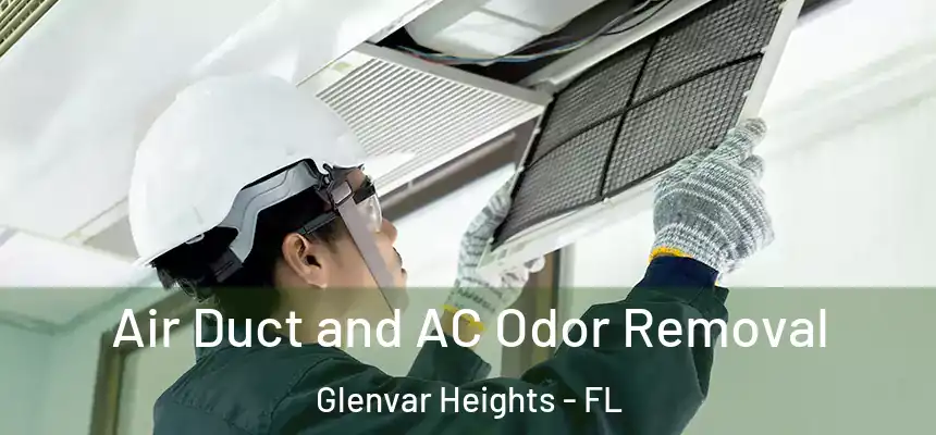 Air Duct and AC Odor Removal Glenvar Heights - FL