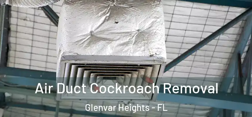 Air Duct Cockroach Removal Glenvar Heights - FL