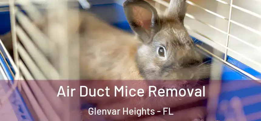 Air Duct Mice Removal Glenvar Heights - FL