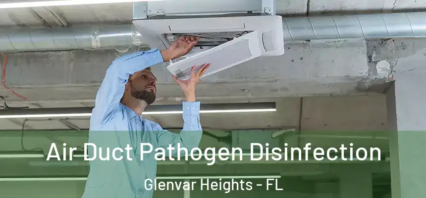Air Duct Pathogen Disinfection Glenvar Heights - FL