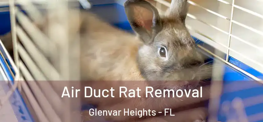 Air Duct Rat Removal Glenvar Heights - FL