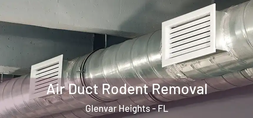 Air Duct Rodent Removal Glenvar Heights - FL