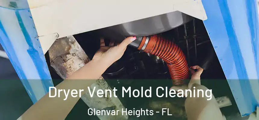 Dryer Vent Mold Cleaning Glenvar Heights - FL