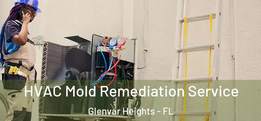 HVAC Mold Remediation Service Glenvar Heights - FL