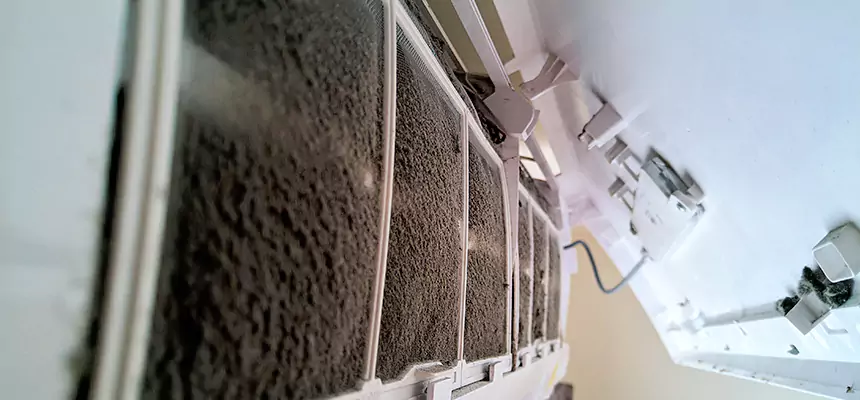 Preventive Air Duct Bacteria Removal in Glenvar Heights