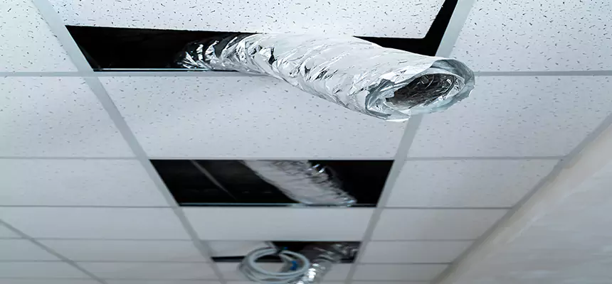 Our Air Duct Pet Hair Removal Services in Glenvar Heights, FL