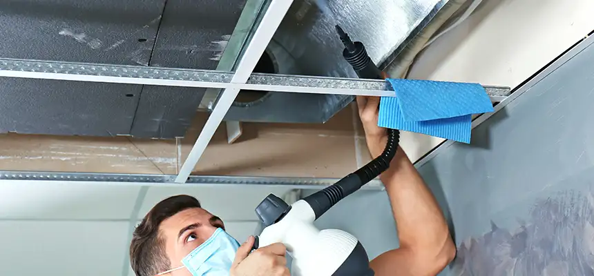 Our Air Duct Rodent Removal Services in Glenvar Heights, FL