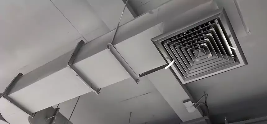 Restorative Allergy Relief Vent Cleaning – Coil, Blower & Housing Detail in Glenvar Heights