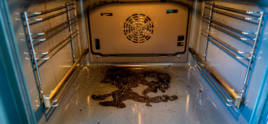 Our Dryer Vent Mold Cleaning Services in Glenvar Heights, FL