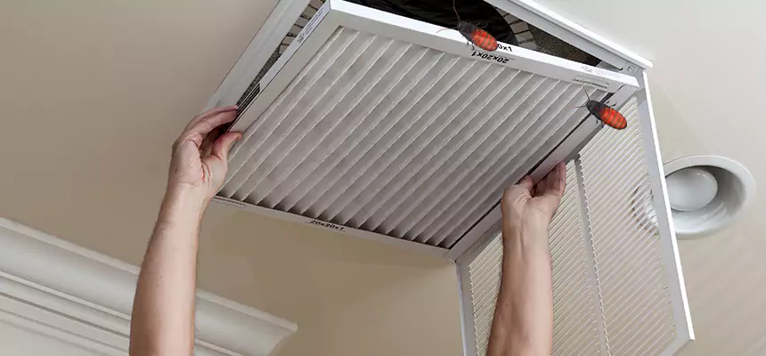 Our Insect Removal from Air Ducts Services in Glenvar Heights, FL