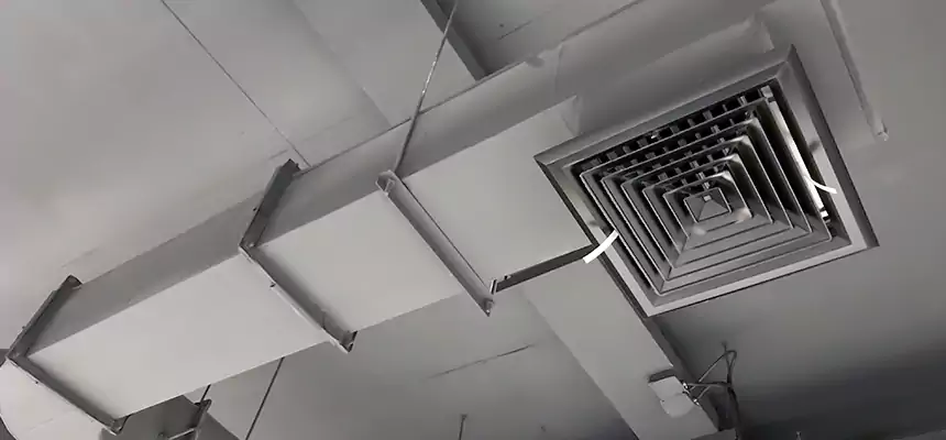 Our Pest Removal From Ducts Services in Glenvar Heights, FL