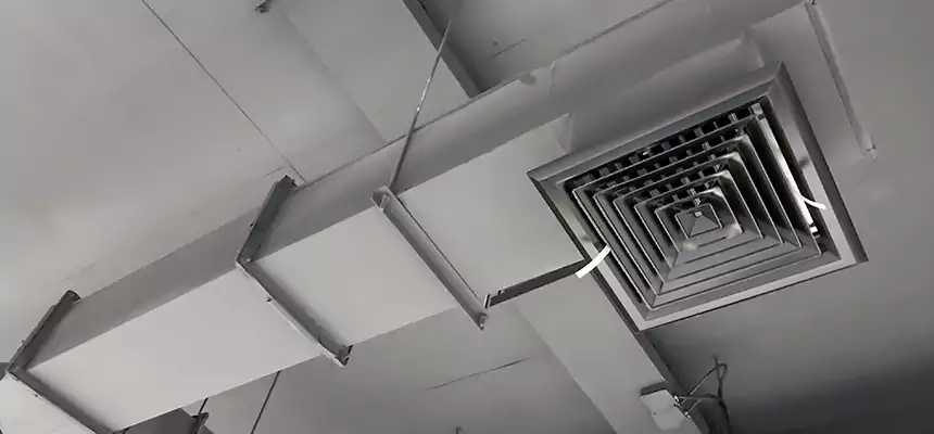 Our Rodent Droppings In Vents Services in Glenvar Heights, FL