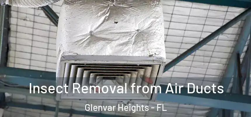 Insect Removal from Air Ducts Glenvar Heights - FL