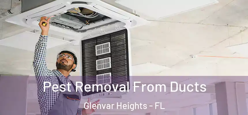 Pest Removal From Ducts Glenvar Heights - FL