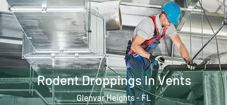 Rodent Droppings In Vents Glenvar Heights - FL