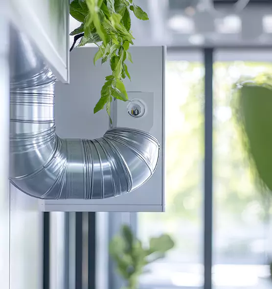 Professional Eco-Safe Dryer Vent Cleaning in Glenvar Heights, FL