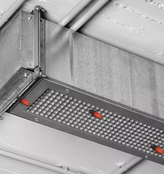 Affordable Insect Removal from Air Ducts in Glenvar Heights, FL