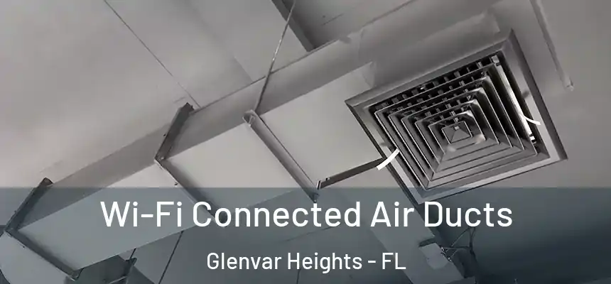 Wi-Fi Connected Air Ducts Glenvar Heights - FL